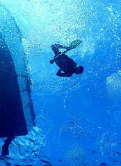 Raja Ampat 2016 - Ambiance - IMG_4413_rc